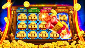 z11 bet z11 bet